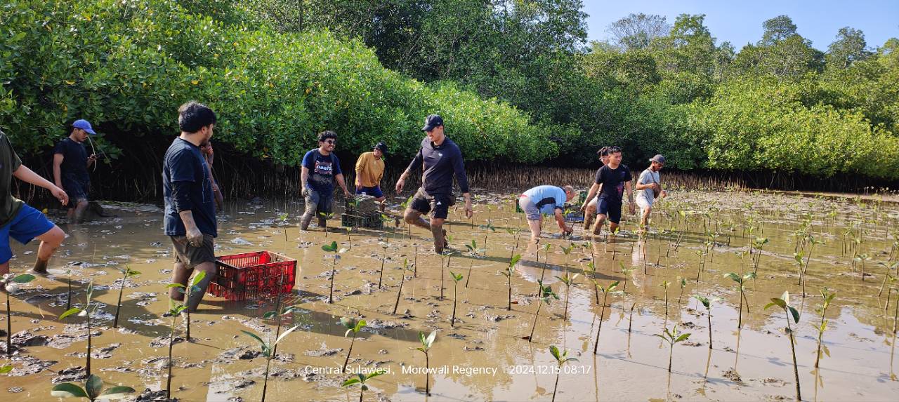 Mangrove Planting Activities